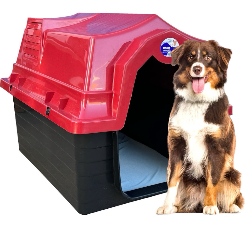 Casa Casinha Plastica Cachorro Numero 5 + Colchão