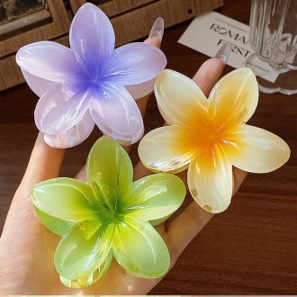 Estilo Havaiano Plumeria Colorful Flower Hairpin Grips Clipes Barrettes Acessórios Headwear
