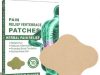 Kit 10 Adesivos Terapéuticos Para Alivio De Dor No espinha lombar 100% Natural Conheça o Adesivo para dores nas costas