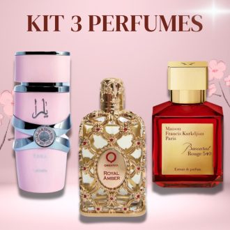 Kit 3 Perfumes Árabes Importados Femininos - Alta Fixação ⭐️⭐️⭐️⭐️⭐️