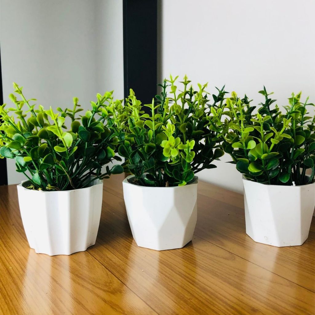 Kit 3 vasinhos de cerâmica com folhagem de eucalipto artificial para decoração
