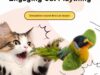 Brinquedo De Gato Simulação Realista Pássaro De Pelúcia Para Gatos E Cães Toque Fonação Física