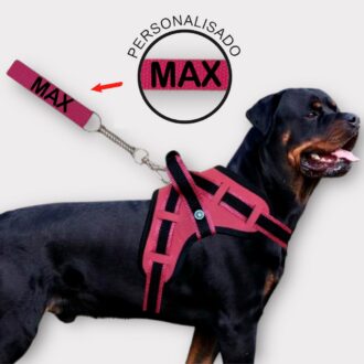 coleira e Guia para cachorro nome personalizado coleira peitoral conforto peiteira sistema amortecedor impacto regulagem