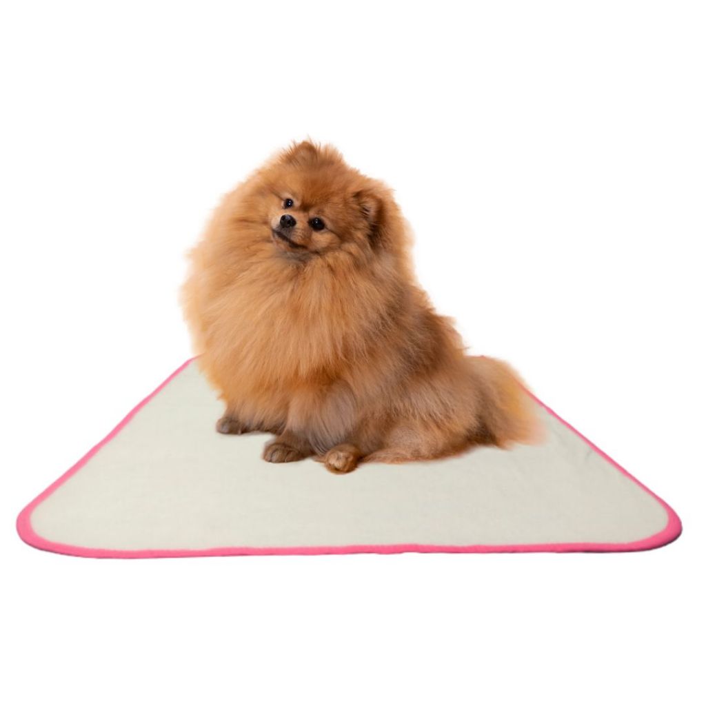 Kit com 2 tapete higiênico lavável cães, Treinar cachorro, não vaza xixi impermeável, Rosa