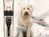 Máquina Para Tosar Cachorro Profissional Pet De Corte Cabelo Tosador de Cães Pet